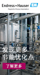 恩德斯豪斯中国